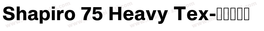 Shapiro 75 Heavy Tex字体转换